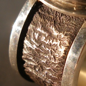 Bark - Ring. Detail.