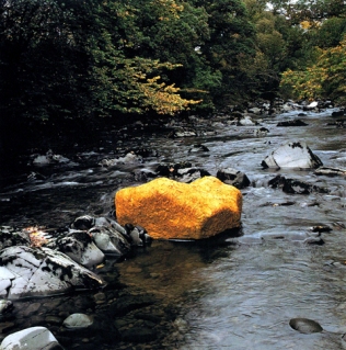 Andy Goldsworthy Yellow elm leaves laid over a rock low water Dumfreisshire, Scotland, 15 October 1991