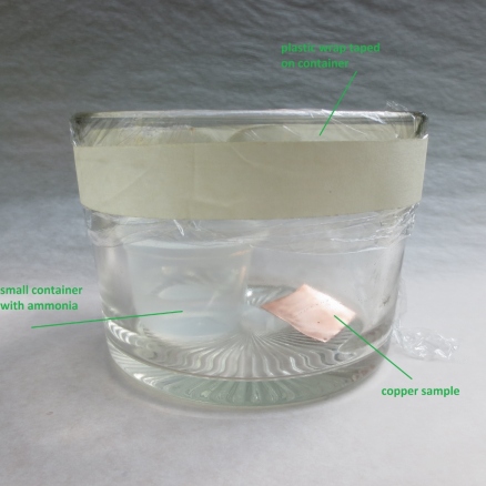 OPTION B: The metal is set beside a small container filled with ammonia, and placed in a larger tightly sealed glass container.